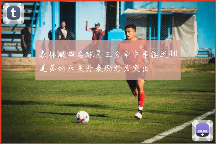 森林狼四名球员三分命中率接近40道苏姆和麦丹表现尤为突出