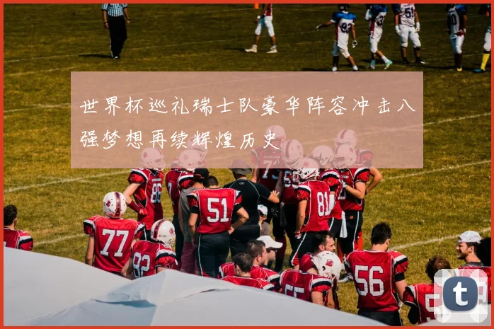 世界杯巡礼瑞士队豪华阵容冲击八强梦想再续辉煌历史